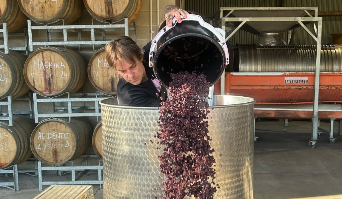 Matt Stone during winemaking process